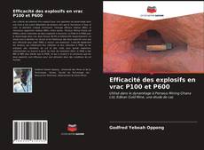 Couverture de Efficacité des explosifs en vrac P100 et P600