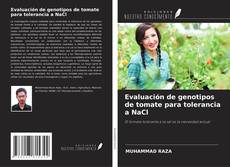 Buchcover von Evaluación de genotipos de tomate para tolerancia a NaCl