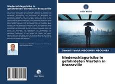 Portada del libro de Niederschlagsrisiko in gefährdeten Vierteln in Brazzaville