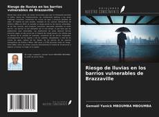 Bookcover of Riesgo de lluvias en los barrios vulnerables de Brazzaville