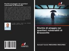 Rischio di pioggia nei quartieri vulnerabili di Brazzaville kitap kapağı