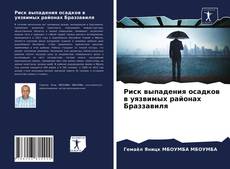 Обложка Риск выпадения осадков в уязвимых районах Браззавиля