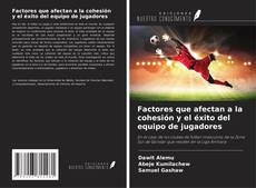 Factores que afectan a la cohesión y el éxito del equipo de jugadores kitap kapağı