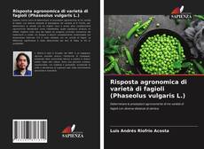 Risposta agronomica di varietà di fagioli (Phaseolus vulgaris L.) kitap kapağı