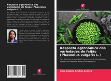 Resposta agronómica das variedades de feijão (Phaseolus vulgaris L.) kitap kapağı