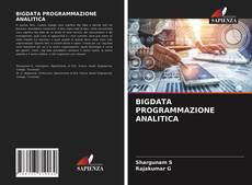 BIGDATA PROGRAMMAZIONE ANALITICA kitap kapağı