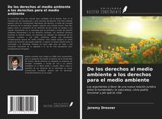 Bookcover of De los derechos al medio ambiente a los derechos para el medio ambiente