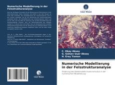 Copertina di Numerische Modellierung in der Felsstrukturanalyse