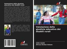 Valutazione della giustizia educativa dei disabili rurali kitap kapağı