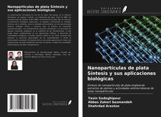 Portada del libro de Nanopartículas de plata Síntesis y sus aplicaciones biológicas