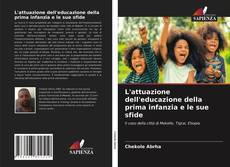 L'attuazione dell'educazione della prima infanzia e le sue sfide kitap kapağı