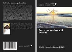 Bookcover of Entre los sueños y el destino