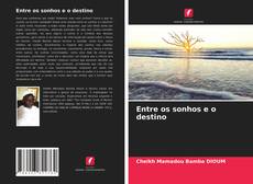 Buchcover von Entre os sonhos e o destino
