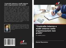 "Controllo interno e audit interno nelle organizzazioni non profit" kitap kapağı