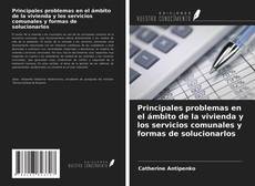 Bookcover of Principales problemas en el ámbito de la vivienda y los servicios comunales y formas de solucionarlos