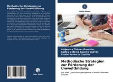 Portada del libro de Methodische Strategien zur Förderung der Umweltbildung