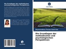 Portada del libro de Die Grundlagen der methodischen und psychologischen Perspektiven