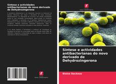 Copertina di Síntese e actividades antibacterianas do novo derivado de Dehydrozingerona