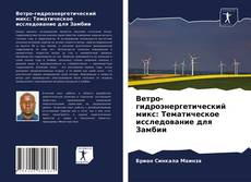 Обложка Ветро-гидроэнергетический микс: Тематическое исследование для Замбии