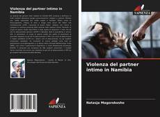 Violenza del partner intimo in Namibia kitap kapağı