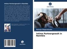 Portada del libro de Intime Partnergewalt in Namibia