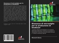 Capa do livro de Biomassa di microalghe per la produzione di biodiesel 