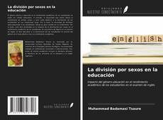 La división por sexos en la educación的封面