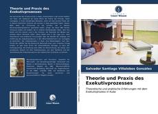 Couverture de Theorie und Praxis des Exekutivprozesses