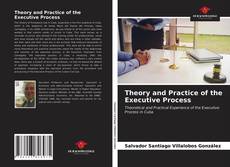 Theory and Practice of the Executive Process的封面