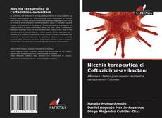 Nicchia terapeutica di Ceftazidime-avibactam kitap kapağı