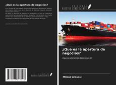 ¿Qué es la apertura de negocios? kitap kapağı