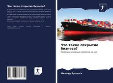 Bookcover of Что такое открытие бизнеса?