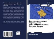 Обложка Влияние денежных переводов на предложение труда: Пример Косово