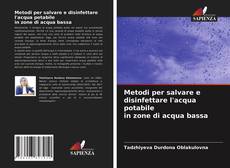 Обложка Metodi per salvare e disinfettare l'acqua potabile in zone di acqua bassa