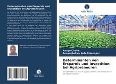 Buchcover von Determinanten von Ersparnis und Investition bei Agripreneuren