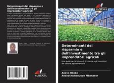 Buchcover von Determinanti del risparmio e dell'investimento tra gli imprenditori agricoli