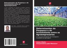 Couverture de Determinantes da Poupança e do Investimento entre os Agroempresários