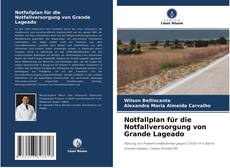 Portada del libro de Notfallplan für die Notfallversorgung von Grande Lageado