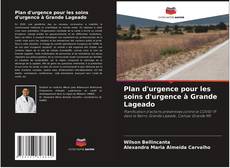 Couverture de Plan d'urgence pour les soins d'urgence à Grande Lageado