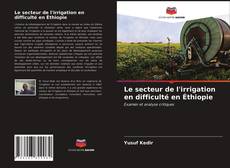 Couverture de Le secteur de l'irrigation en difficulté en Éthiopie