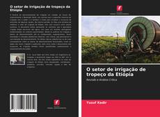 Couverture de O setor de irrigação de tropeço da Etiópia