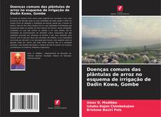 Couverture de Doenças comuns das plântulas de arroz no esquema de irrigação de Dadin Kowa, Gombe