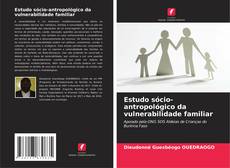 Couverture de Estudo sócio-antropológico da vulnerabilidade familiar