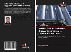 Fattori che influenzano il progresso verso la certificazione GMP的封面