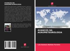 Buchcover von AVANÇOS NA AGROMETEOROLOGIA