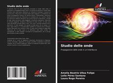 Studio delle onde kitap kapağı