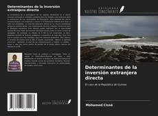 Bookcover of Determinantes de la inversión extranjera directa