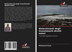 Determinanti degli investimenti diretti esteri kitap kapağı