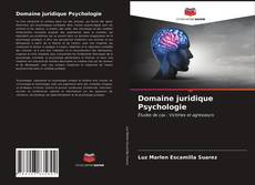 Обложка Domaine juridique Psychologie