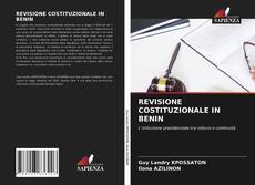 Bookcover of REVISIONE COSTITUZIONALE IN BENIN